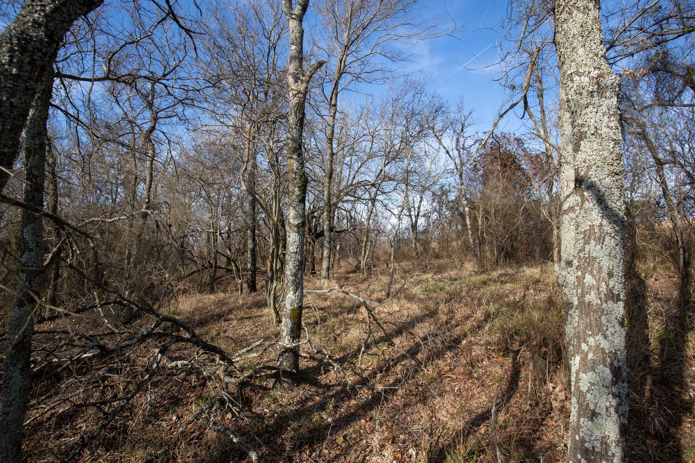 Painted Horse Tract 12 photo 4