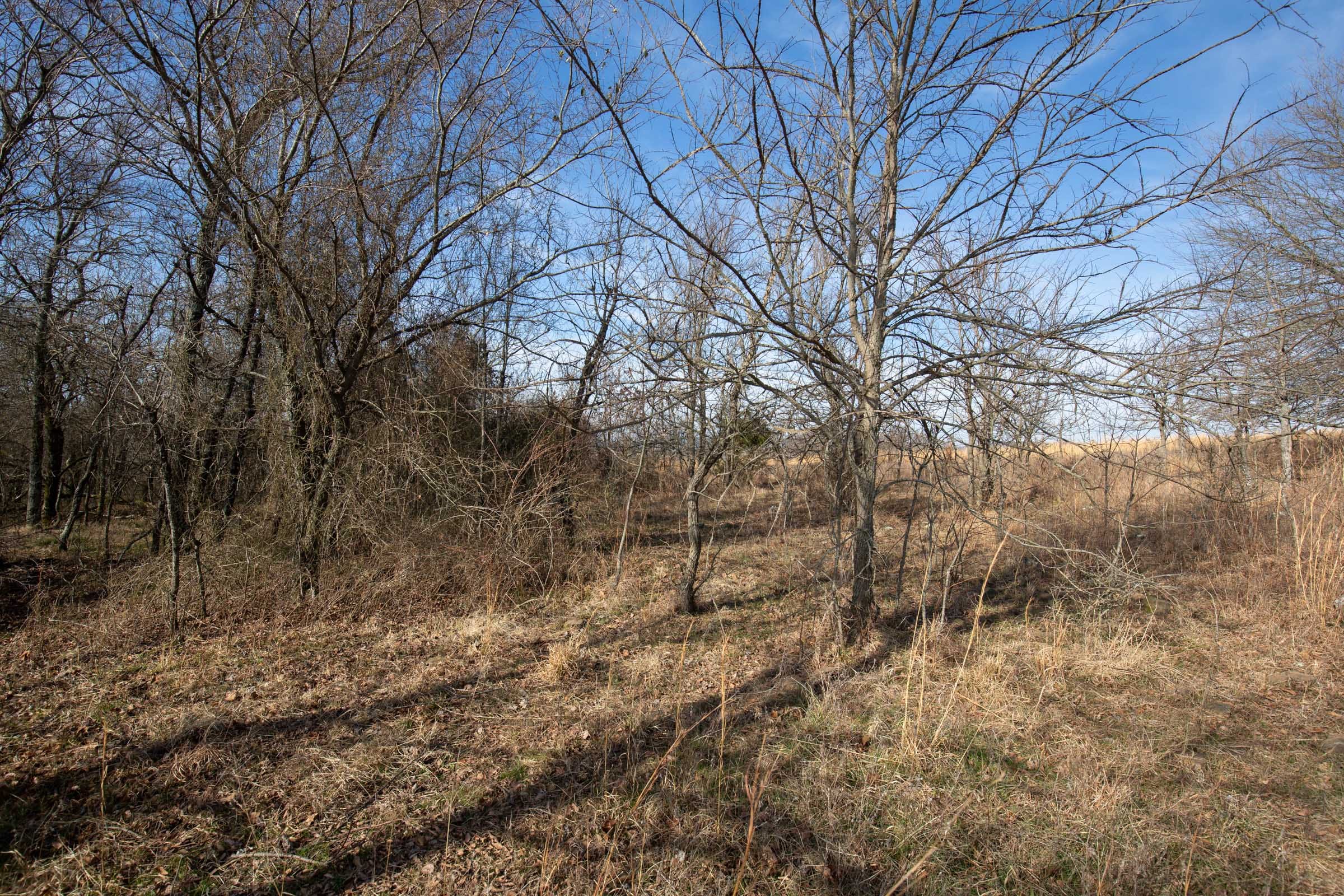 Painted Horse Tract 12 photo 7