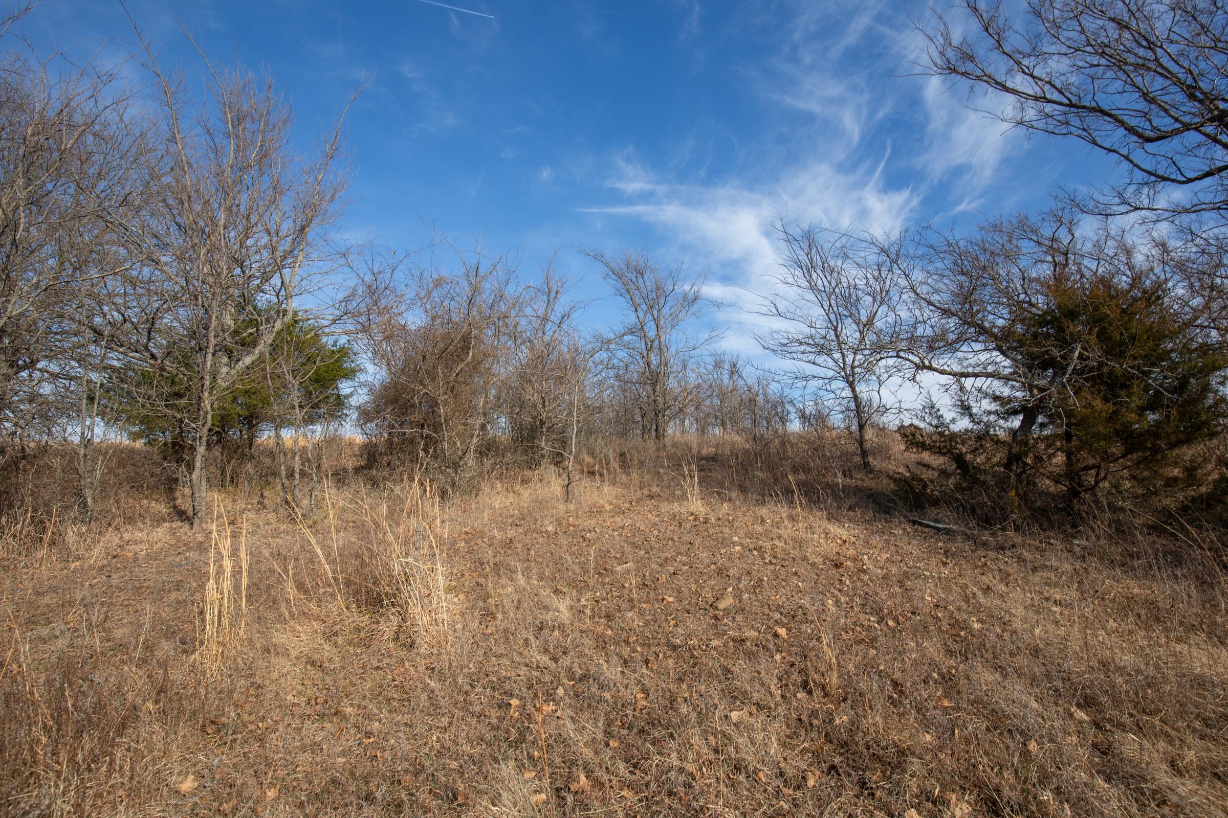 Painted Horse Tract 12 photo 6