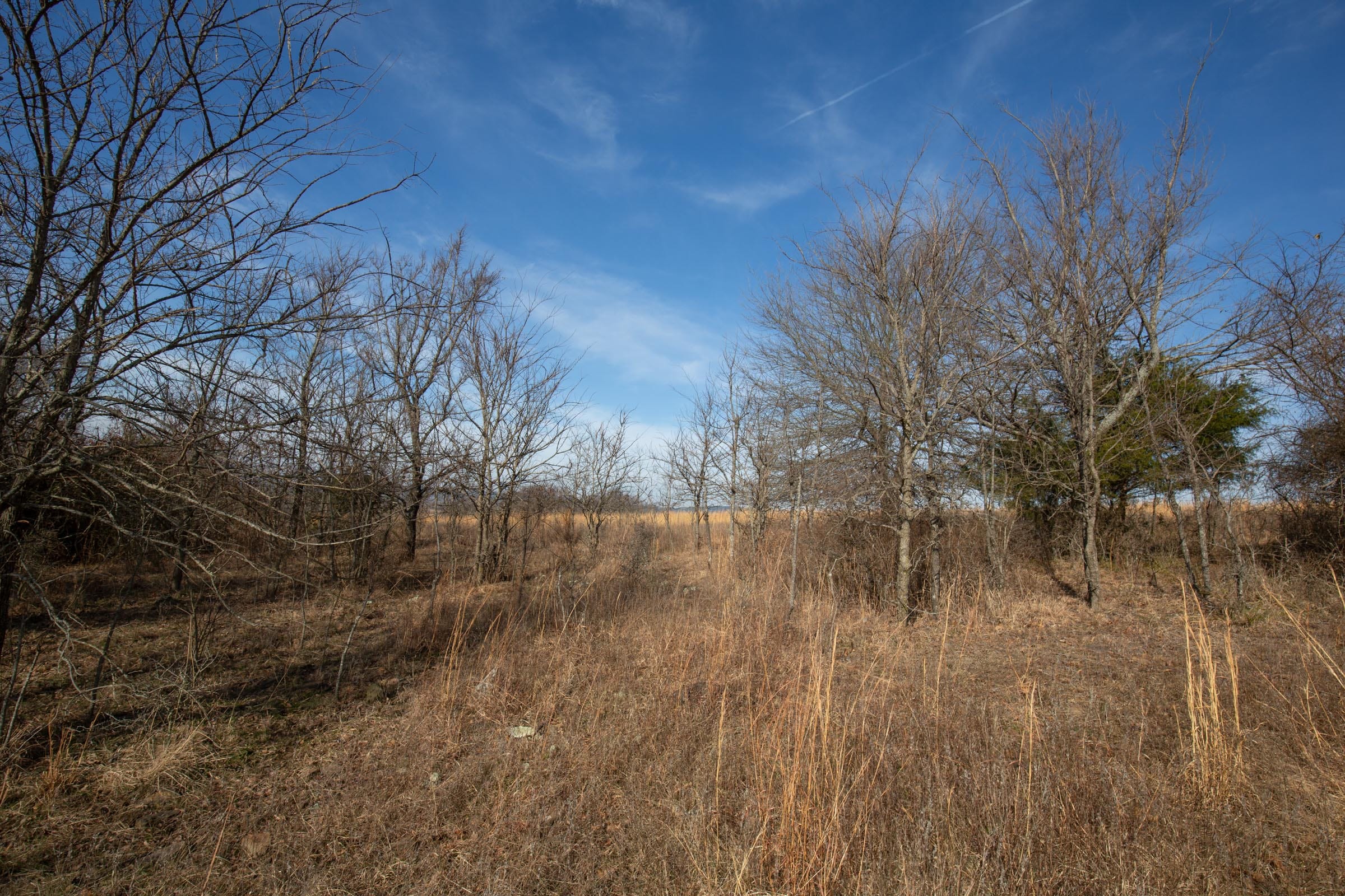 Painted Horse Tract 12 photo 8