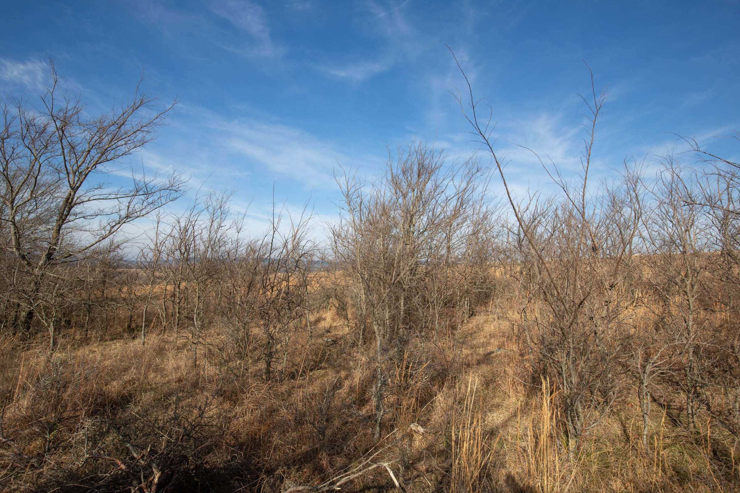 Painted Horse Tract 12 photo 10