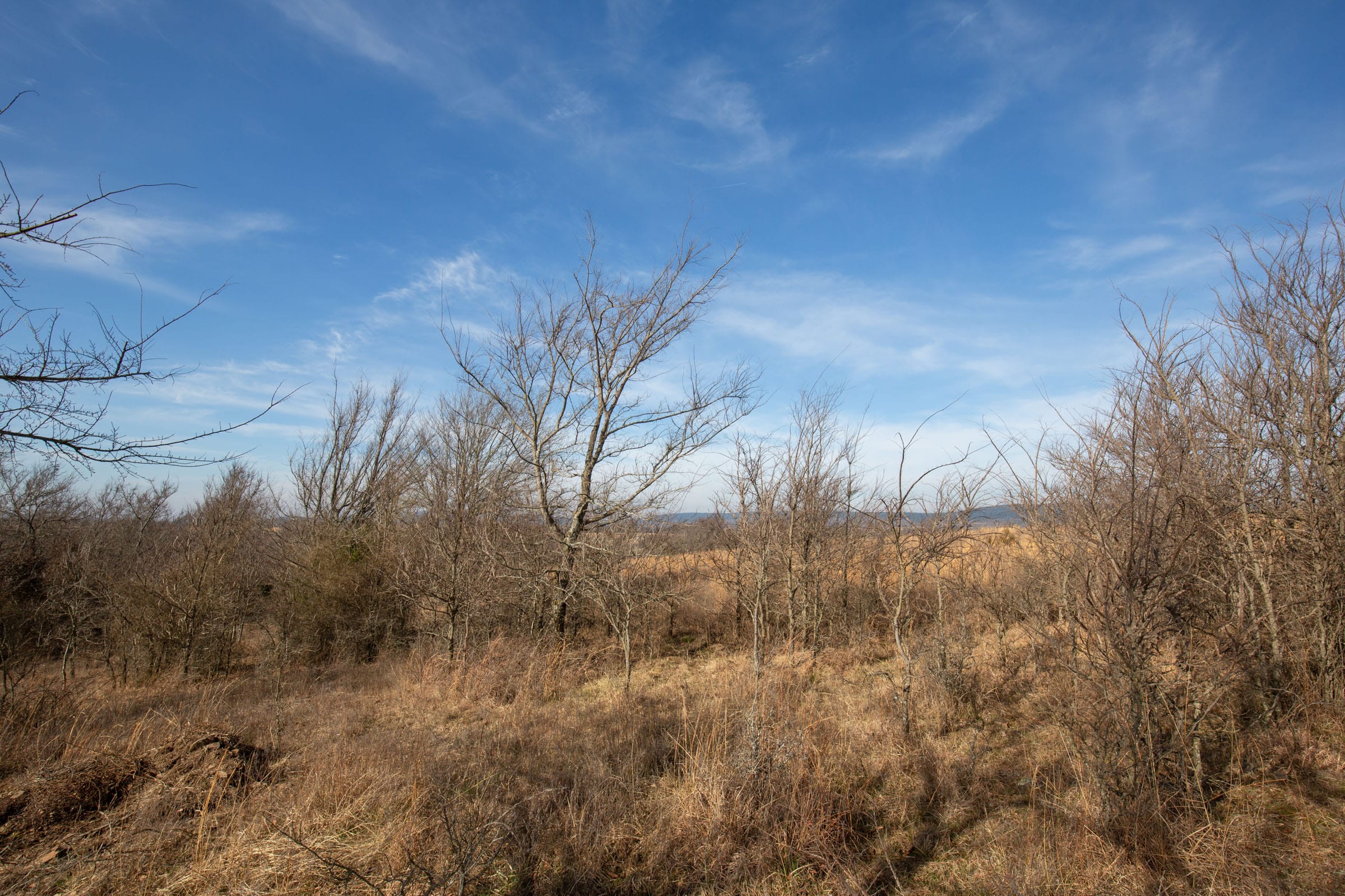 Painted Horse Tract 12 photo 12