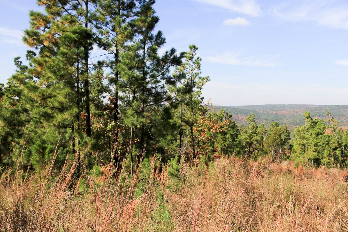 Stone Creek Phase III Tract 47 photo 3