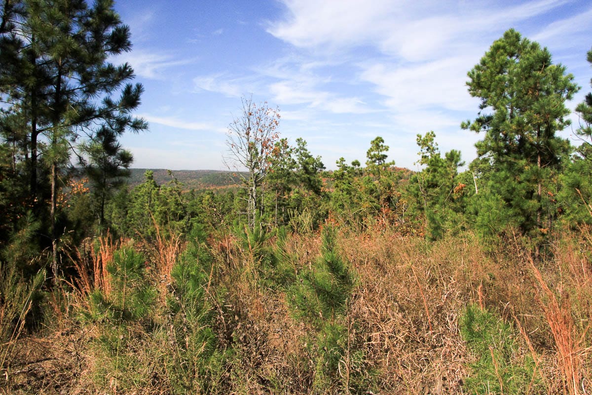 Stone Creek Phase III Tract 47 photo 4