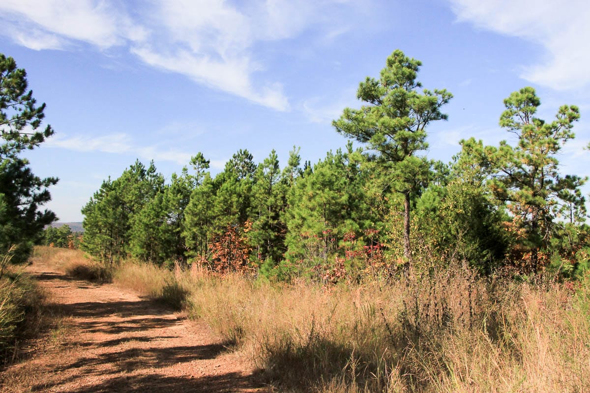 Stone Creek Phase III Tract 47 photo 5