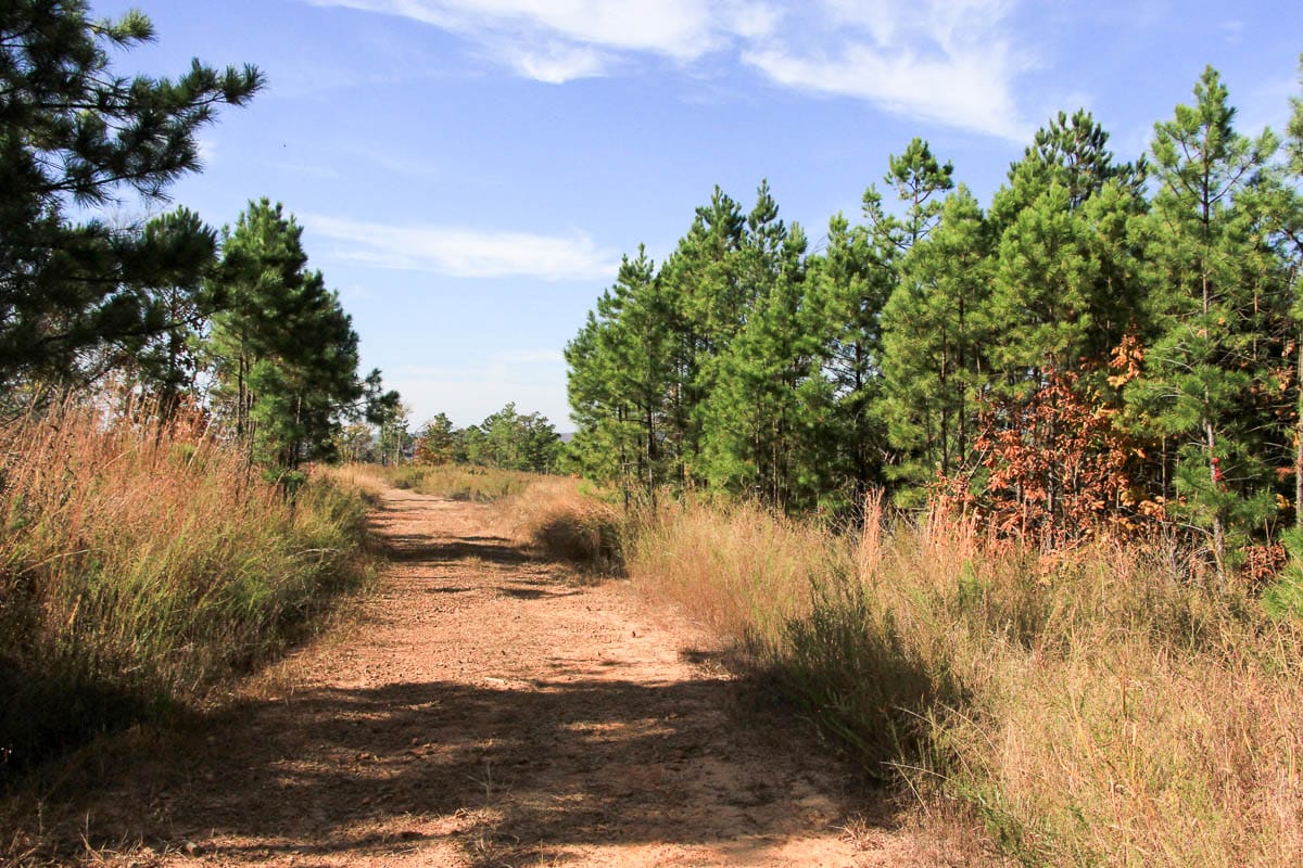 Stone Creek Phase III Tract 47 photo 7