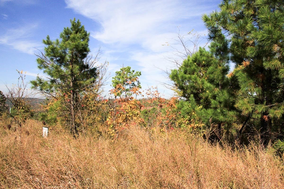 Stone Creek Phase III Tract 47 photo 8