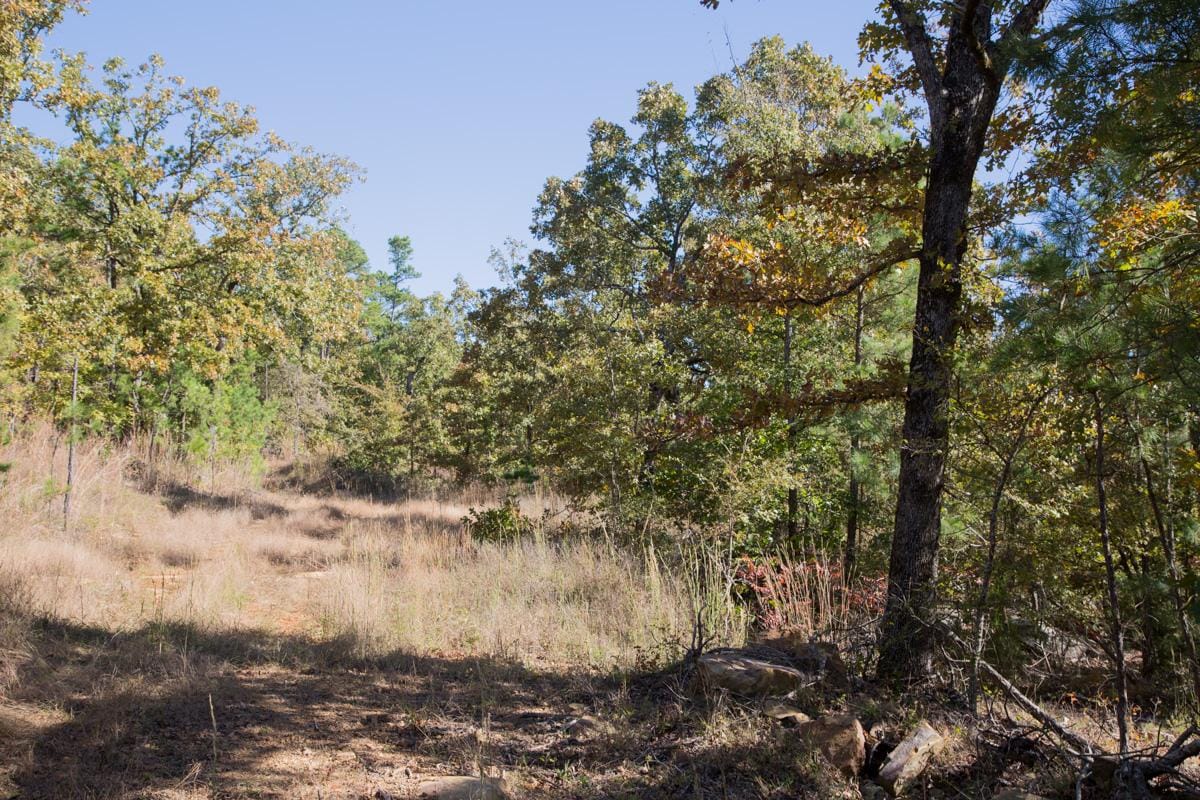 Stone Creek Phase I Tract 171 photo 5