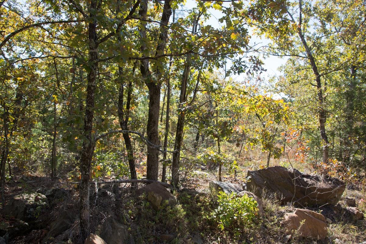 Stone Creek Phase I Tract 171 photo 2