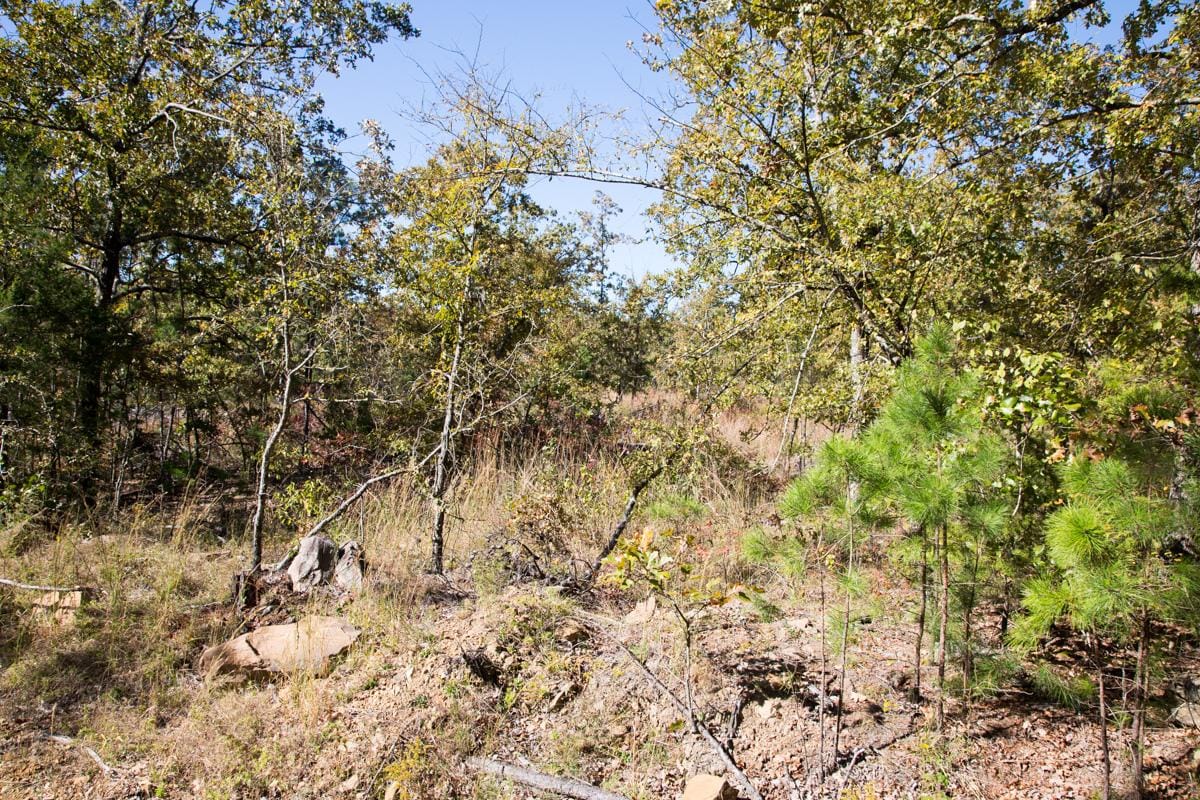 Stone Creek Phase I Tract 171 photo 3