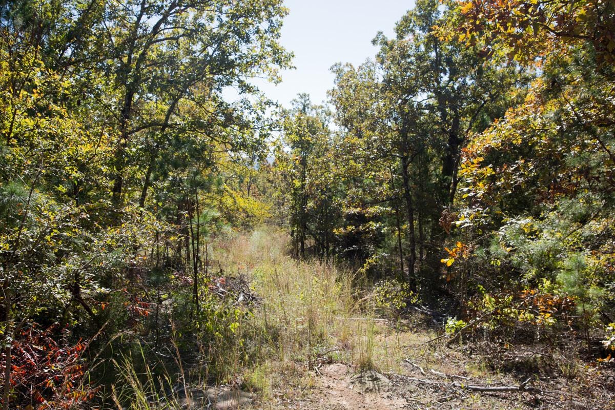 Stone Creek Phase I Tract 171 photo 4