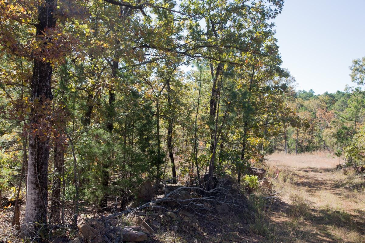 Stone Creek Phase I Tract 171 photo 6