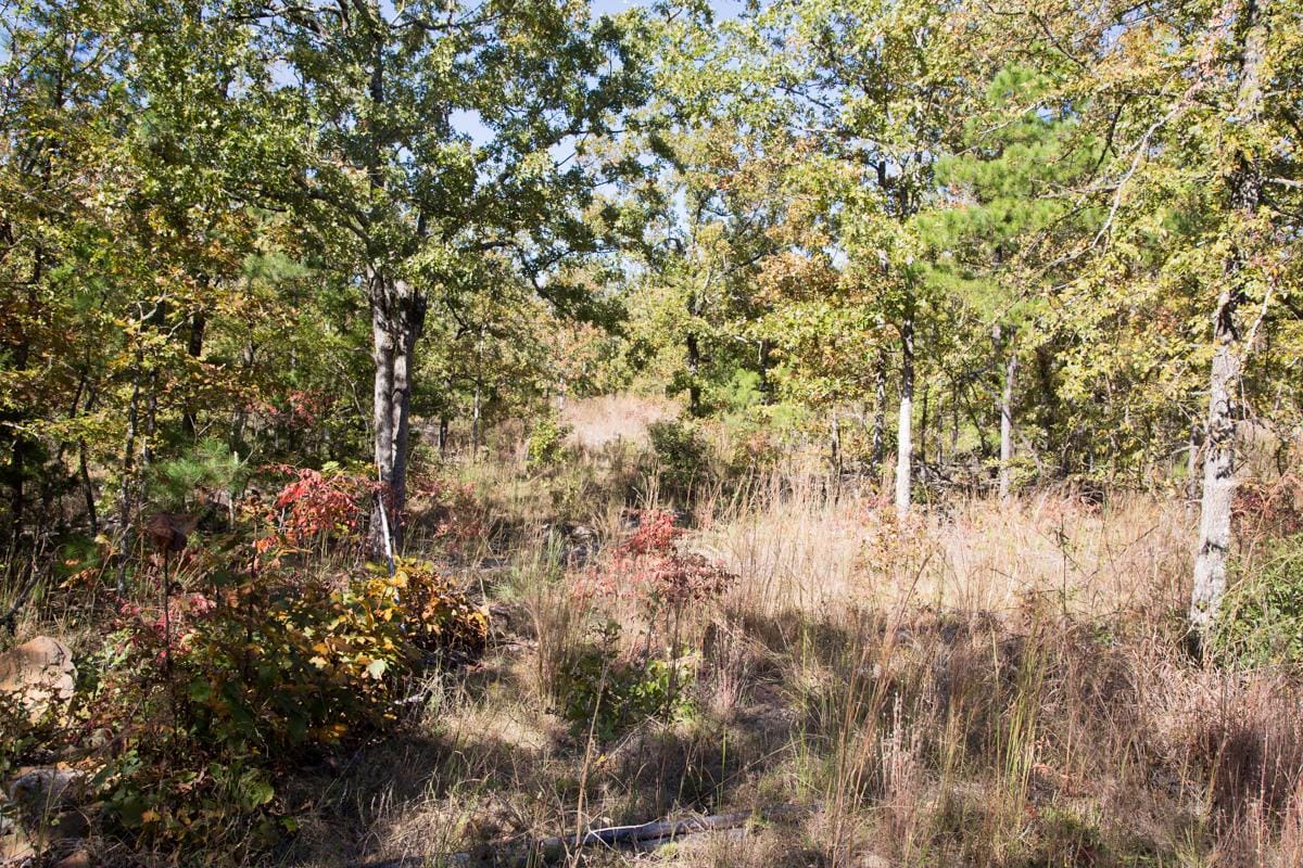 Stone Creek Phase I Tract 171 photo 7