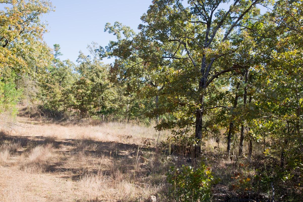 Stone Creek Phase I Tract 171 photo 8