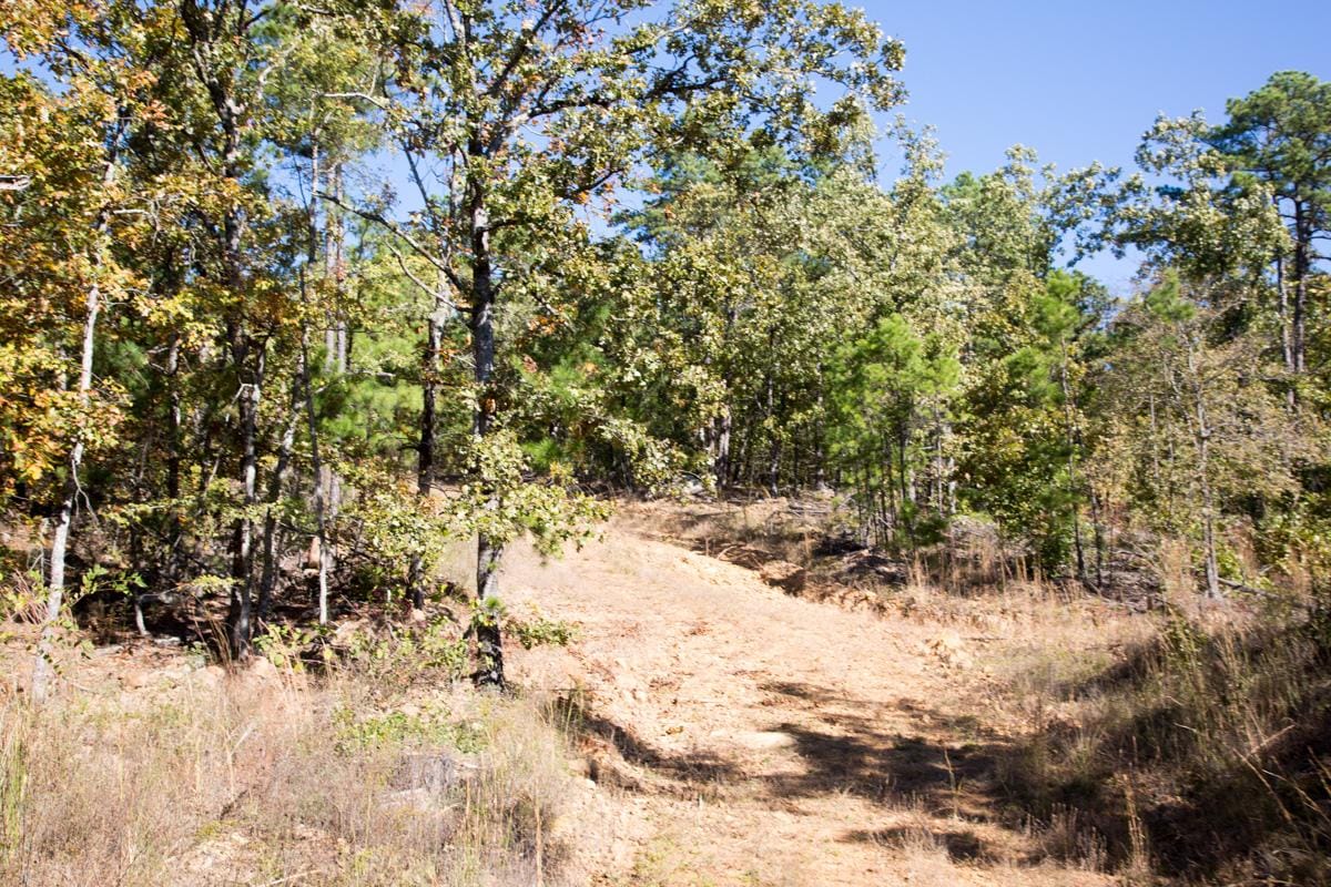 Stone Creek Phase I Tract 171 photo 10