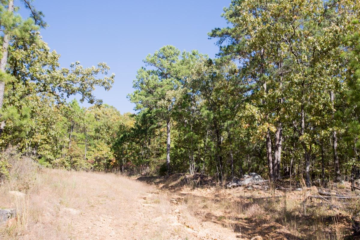 Stone Creek Phase I Tract 171 photo 11