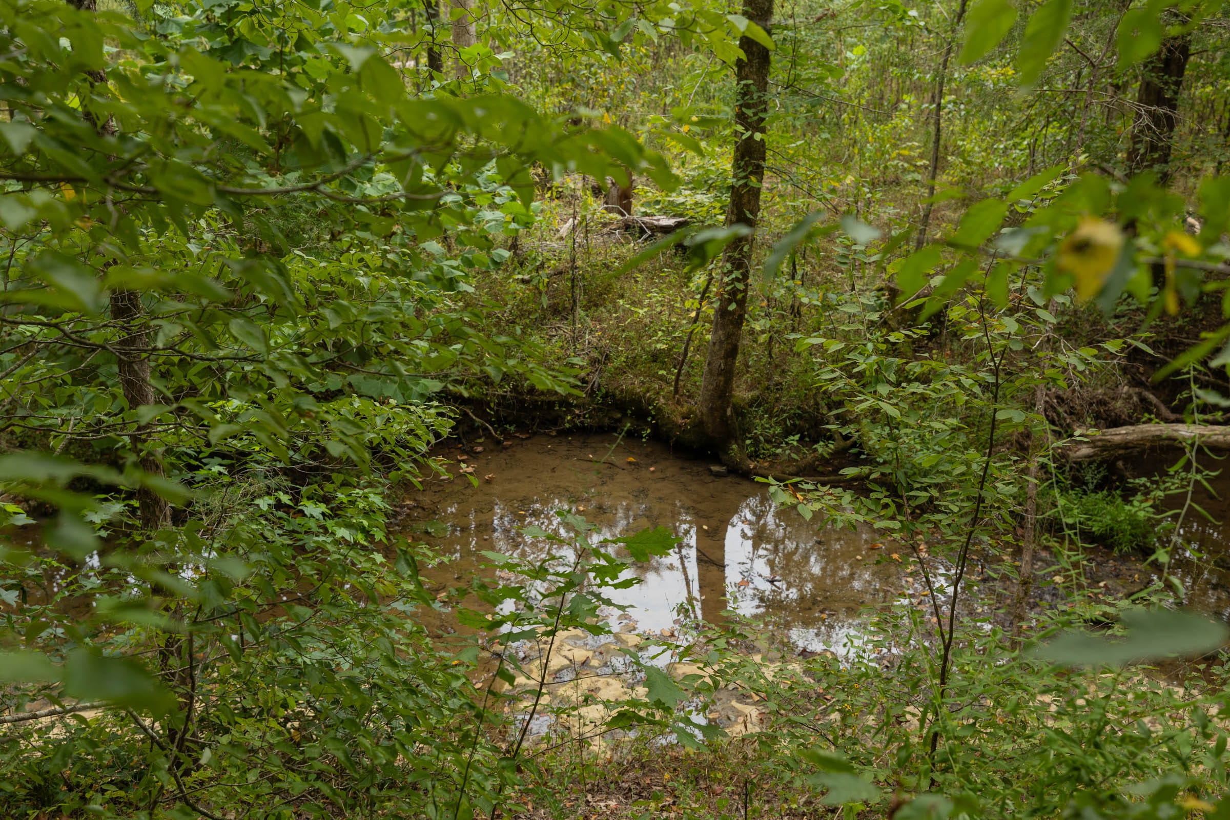 Big White Oak Tract 145 photo 12