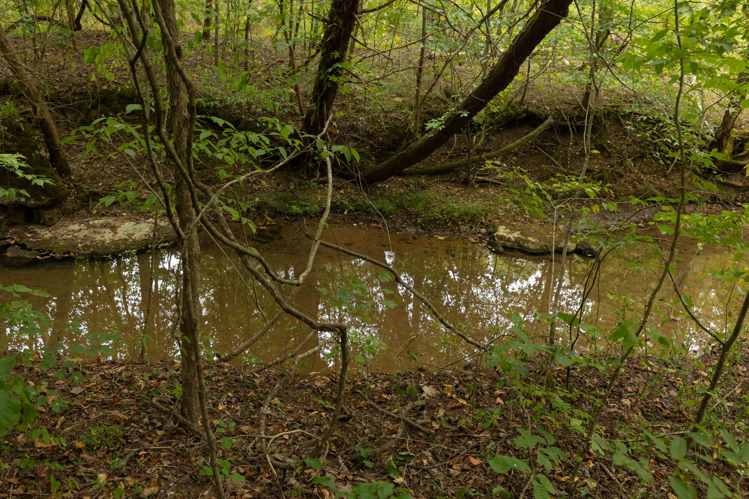Big White Oak Tract 145 photo 11