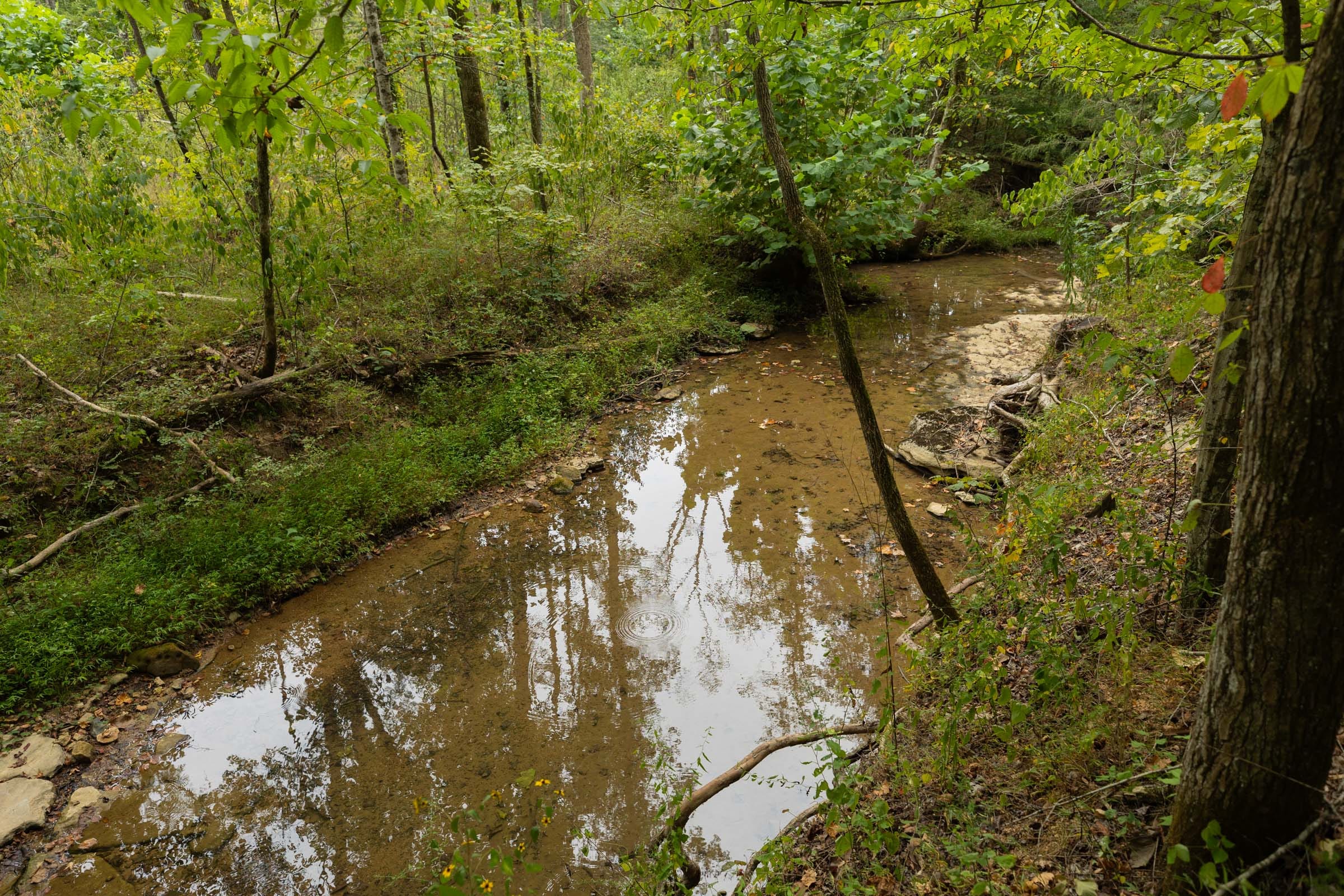 Big White Oak Tract 145 photo 1