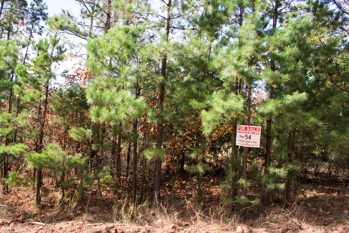 Stone Creek Phase III Tract 54 photo 1