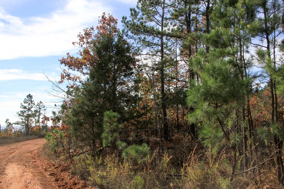 Stone Creek Phase III Tract 54 photo 3