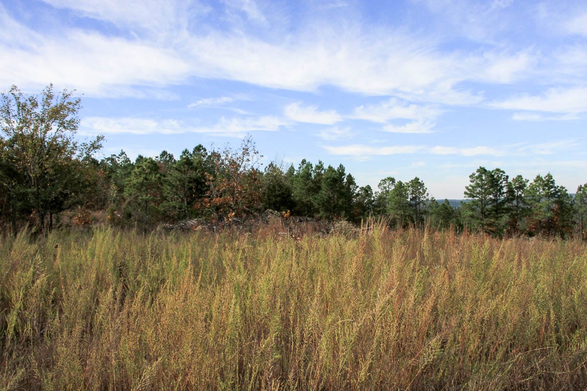 Stone Creek Phase III Tract 54 photo 7