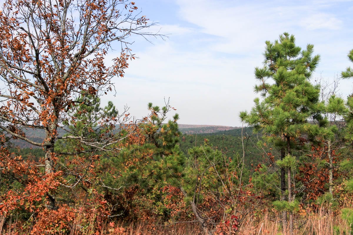 Stone Creek Phase III Tract 54 photo 9