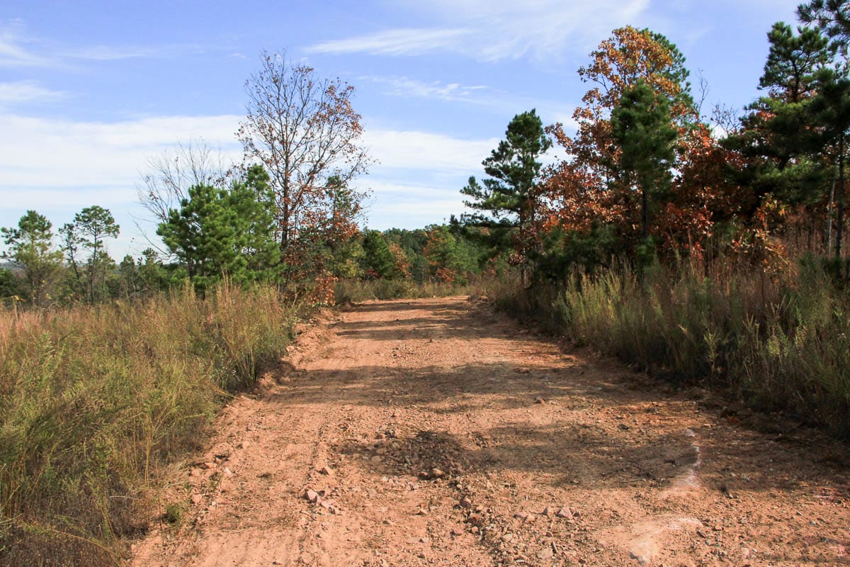 Stone Creek Phase III Tract 54 photo 11