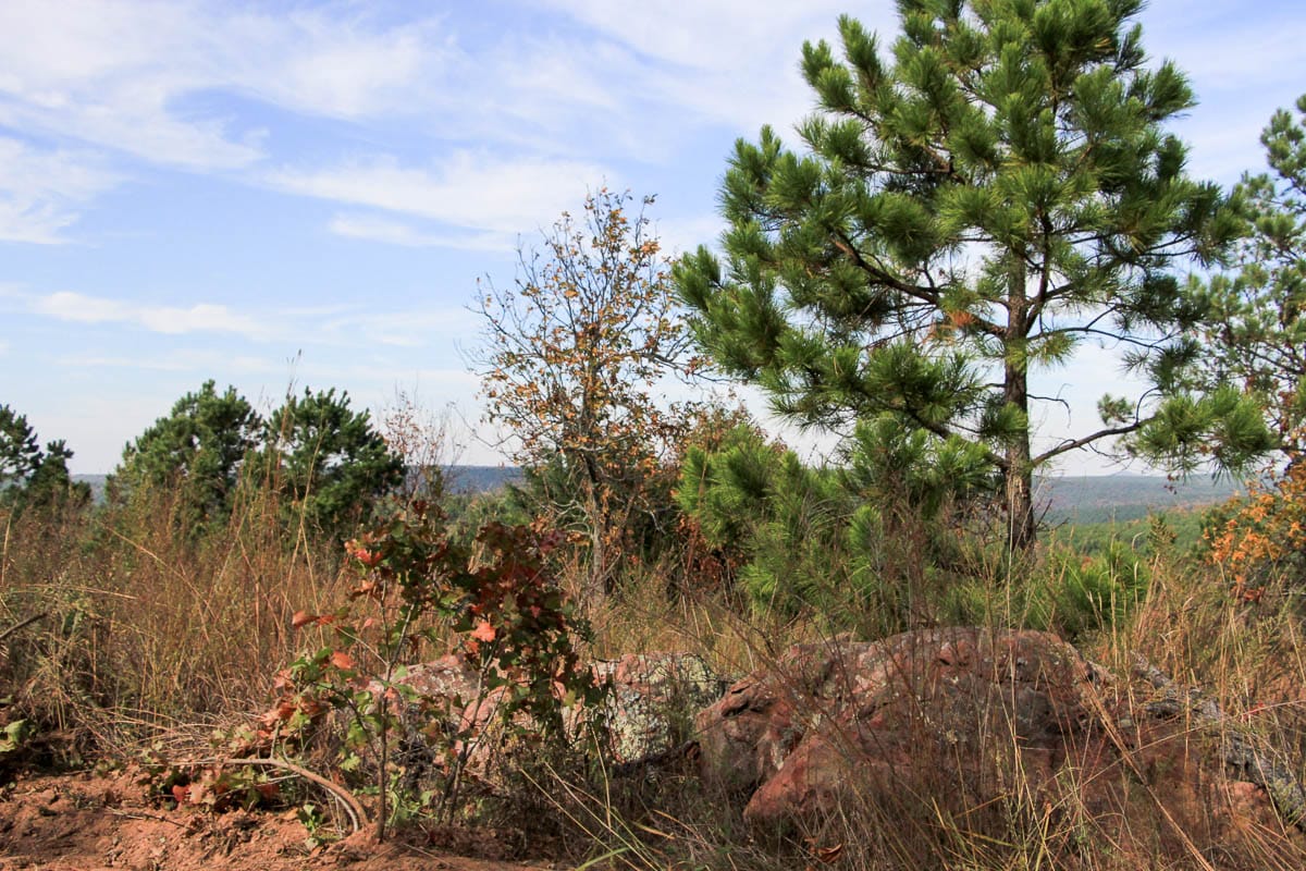 Stone Creek Phase III Tract 54 photo 12