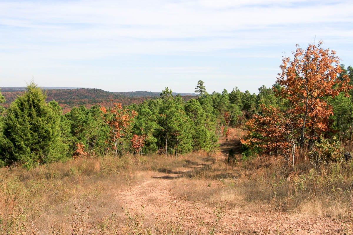 Stone Creek Phase III Tract 54 photo 15