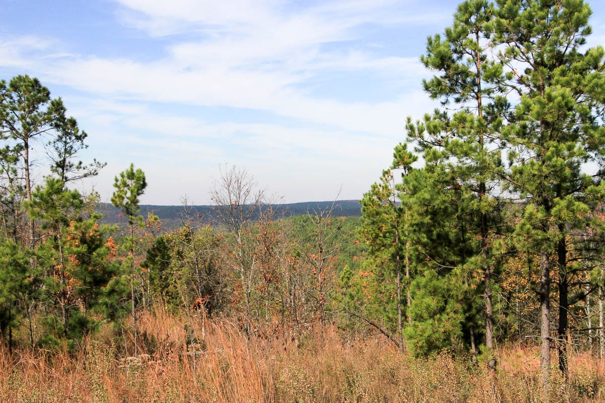 Stone Creek Phase III Tract 54 photo 16