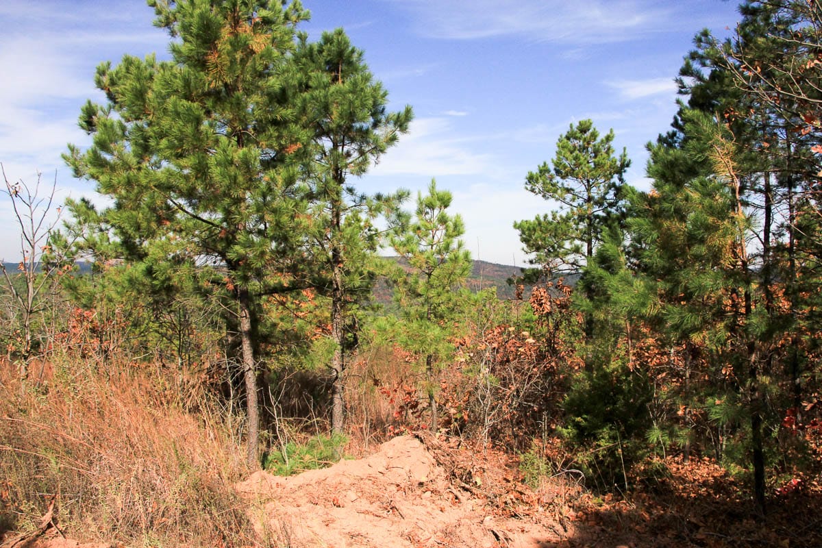 Stone Creek Phase III Tract 54 photo 17