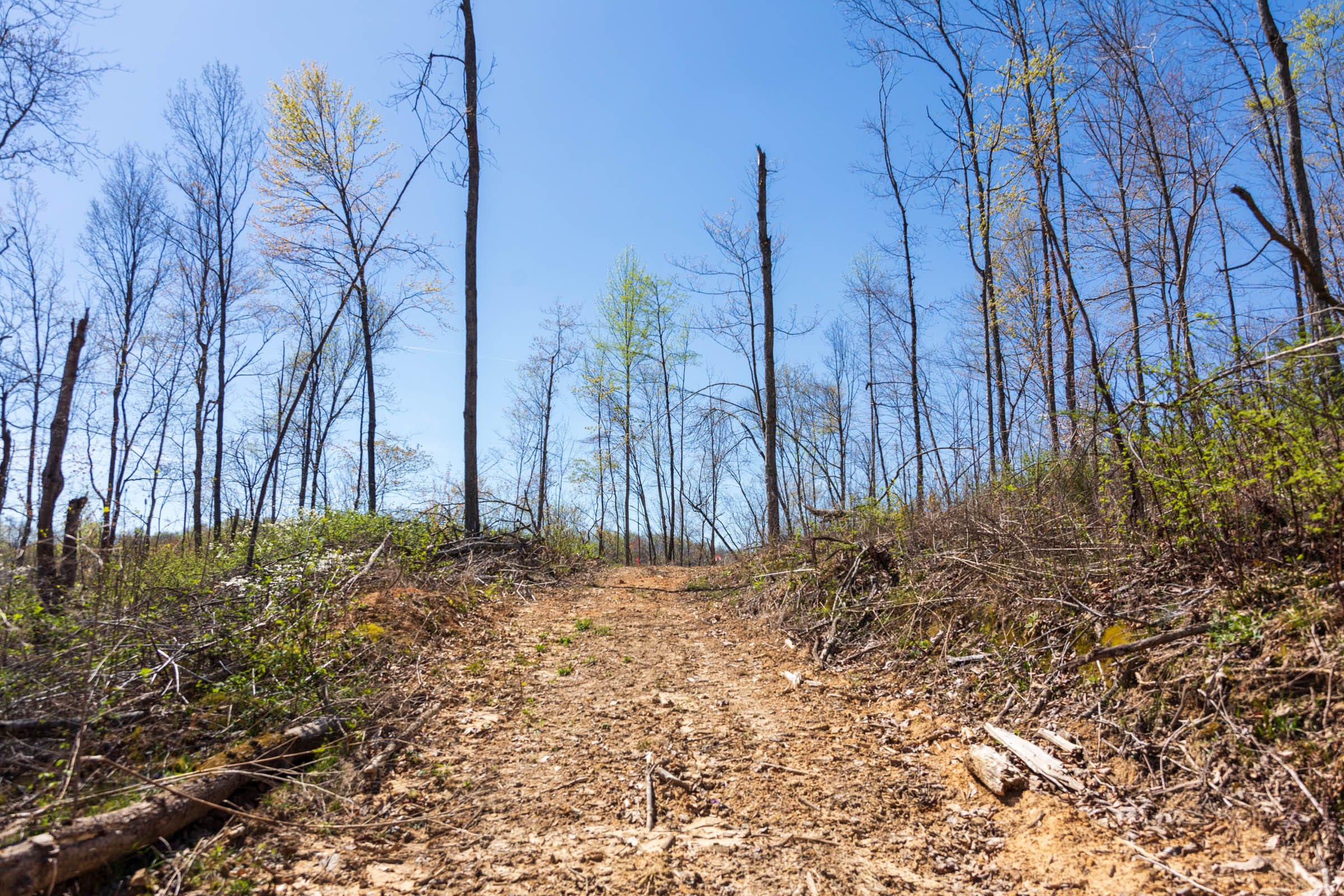 Creek Hollow Phase I Tract 41 photo 2