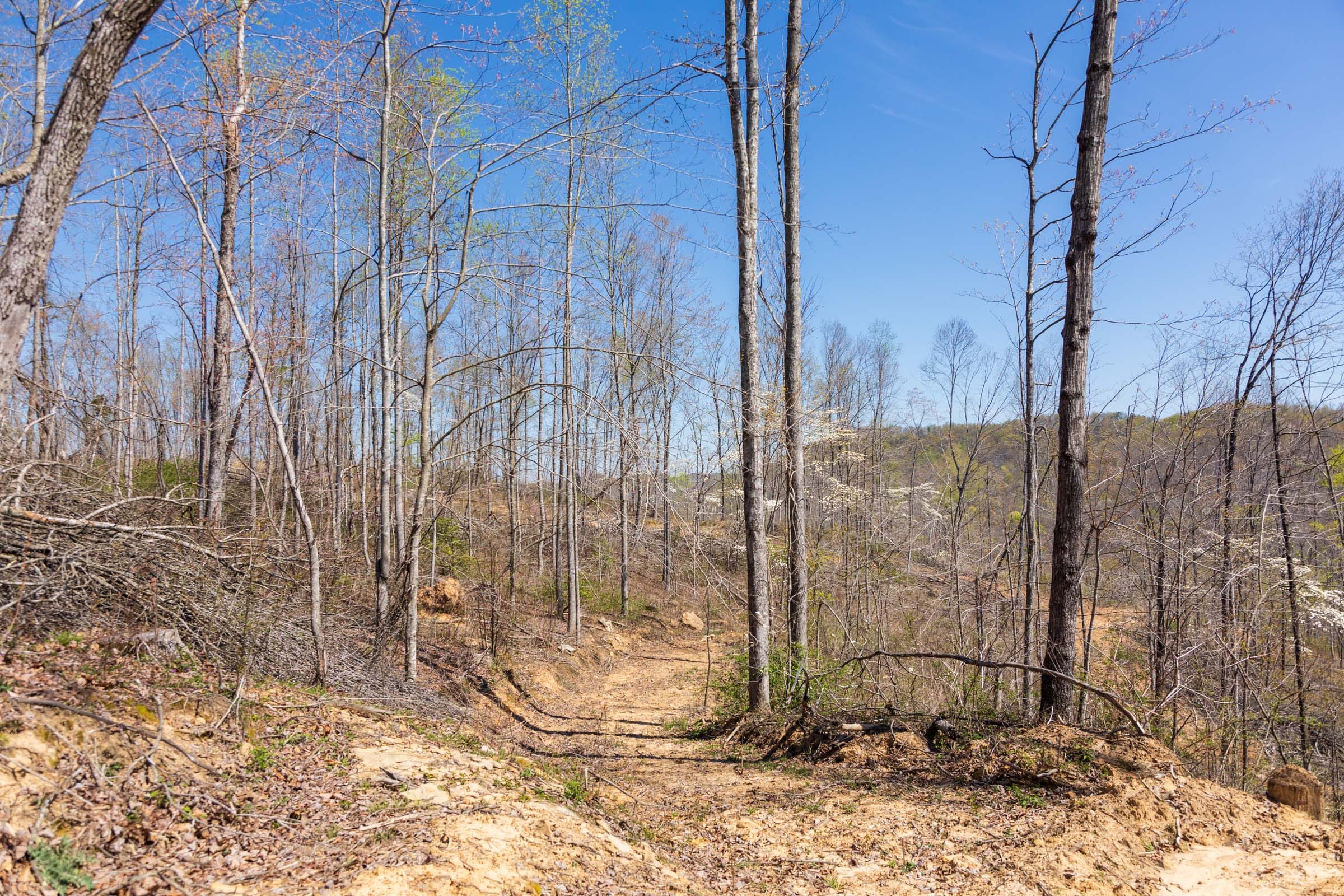 Creek Hollow Phase I Tract 41 photo 8