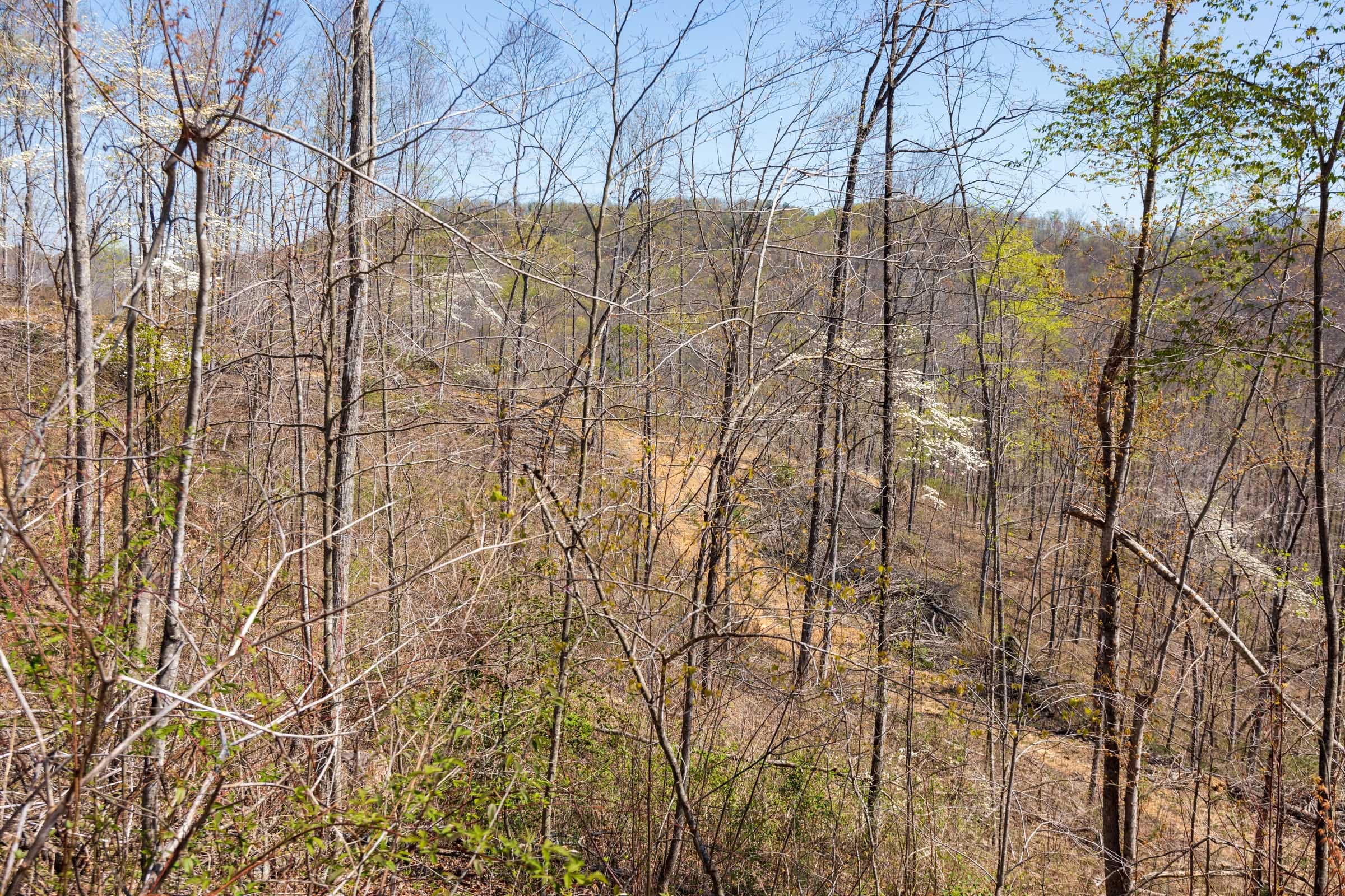 Creek Hollow Phase I Tract 41 photo 3