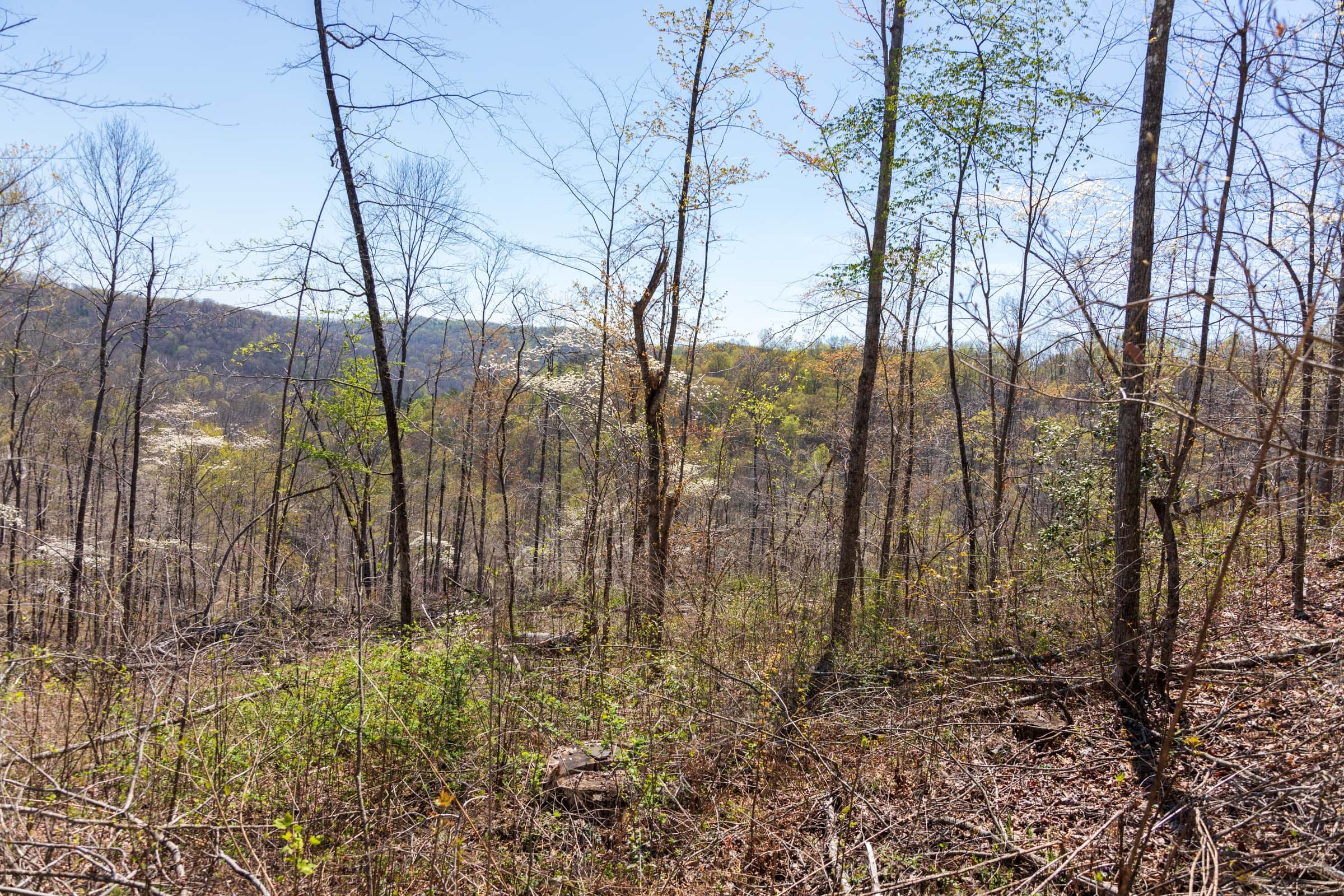 Creek Hollow Phase I Tract 41 photo 7