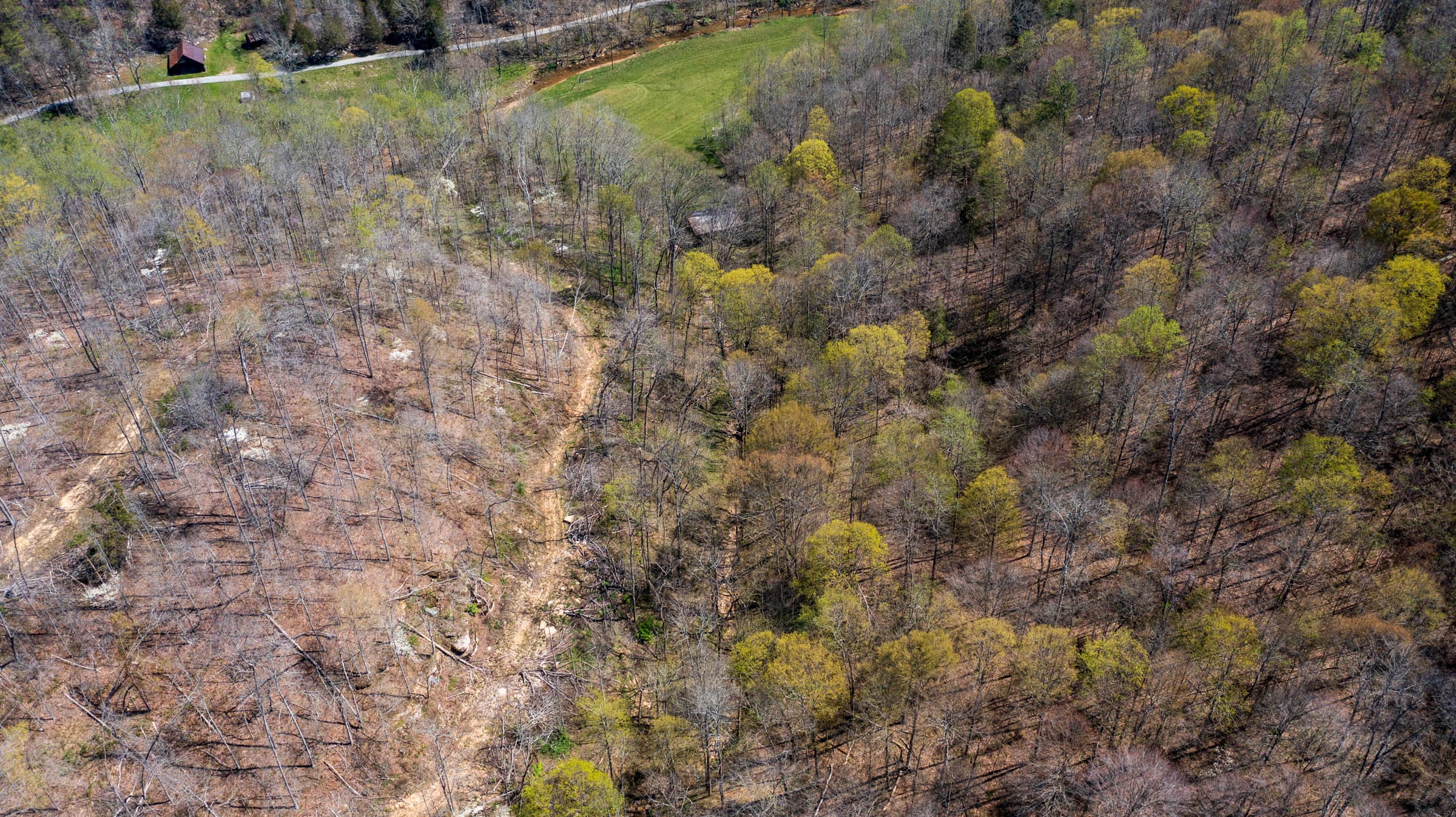 Creek Hollow Phase I Tract 41 photo 1