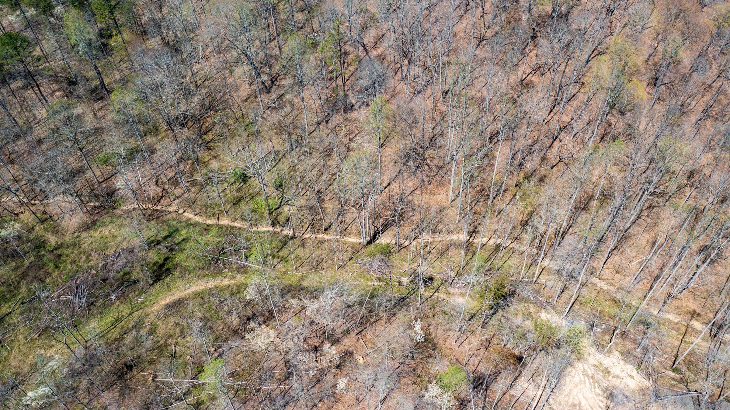 Creek Hollow Phase I Tract 41 photo 9