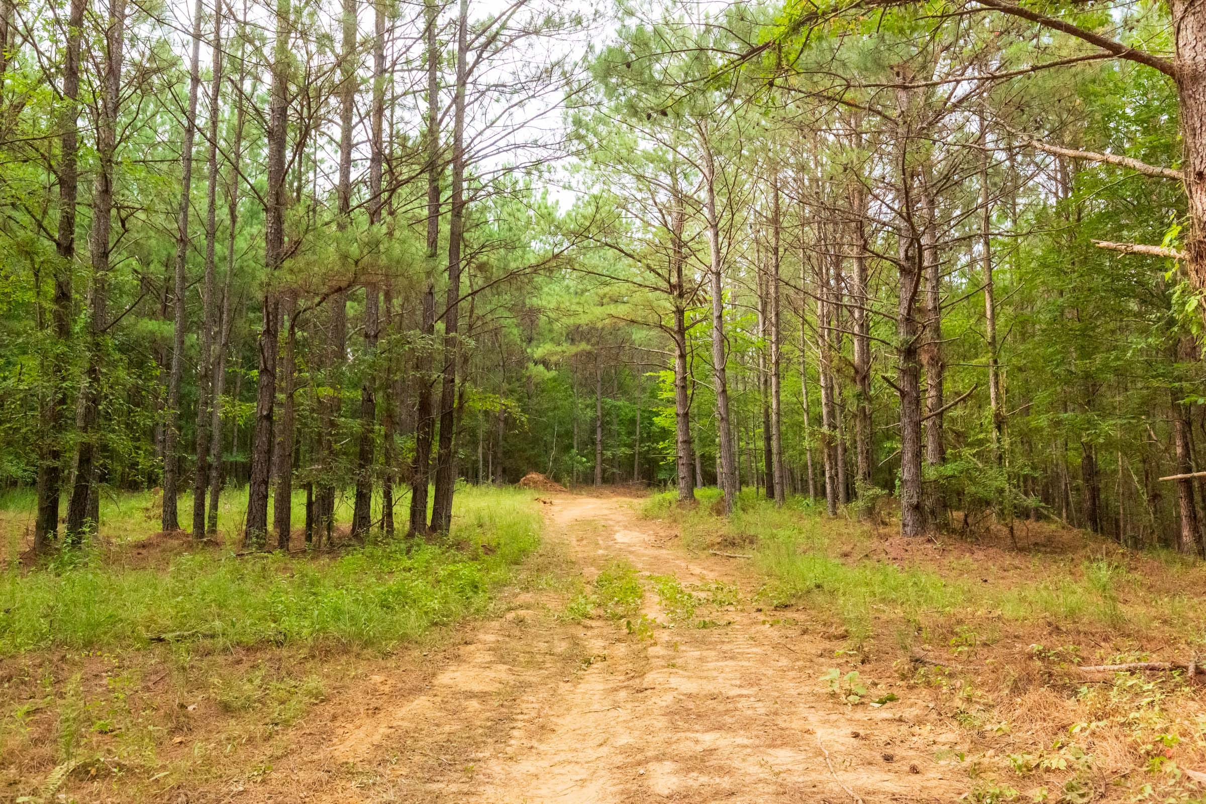 Whiskey Ridge Tract 73 photo 3