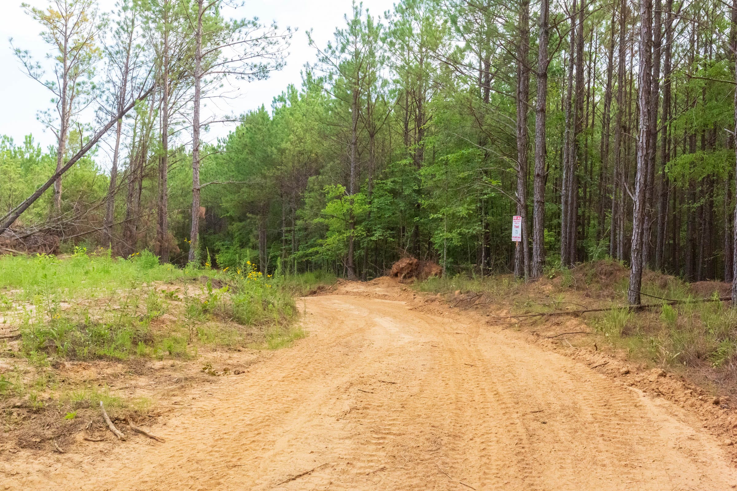 Whiskey Ridge Tract 73 photo 23