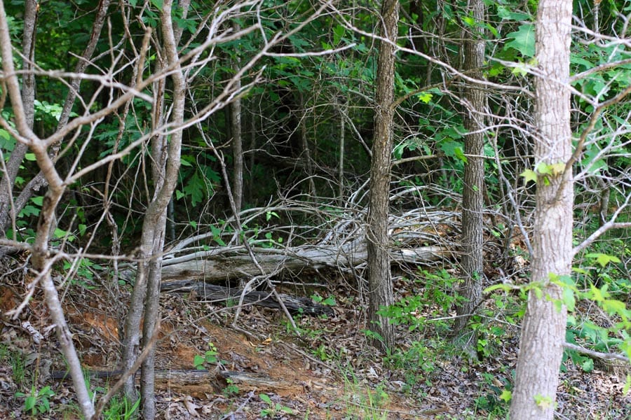 Bluebird Ranch Tract 11 photo 6