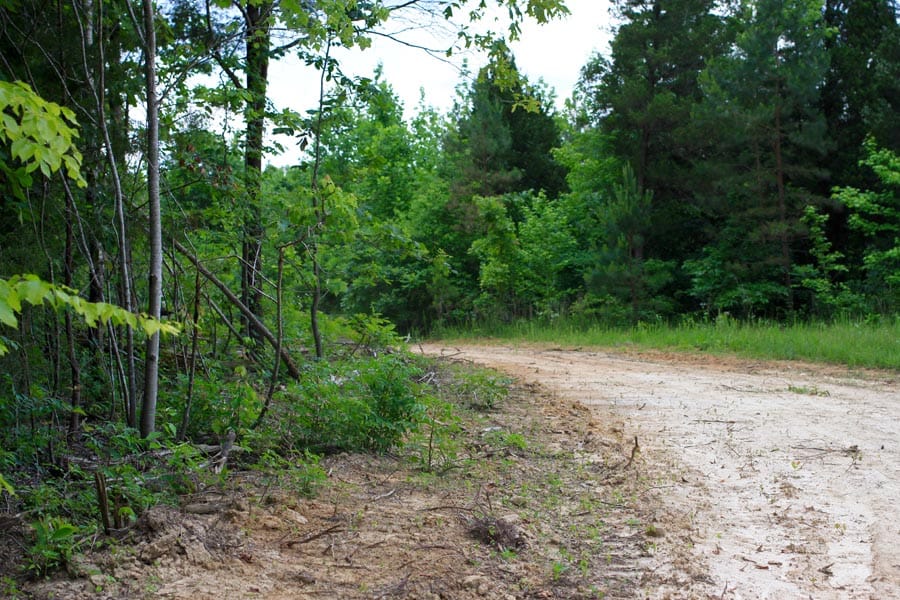 Bluebird Ranch Tract 11 photo 10
