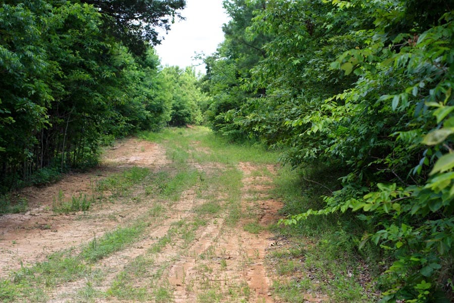 Bluebird Ranch Tract 11 photo 11