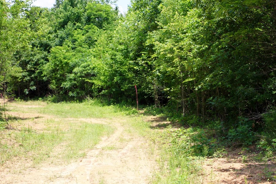 Bluebird Ranch Tract 11 photo 17