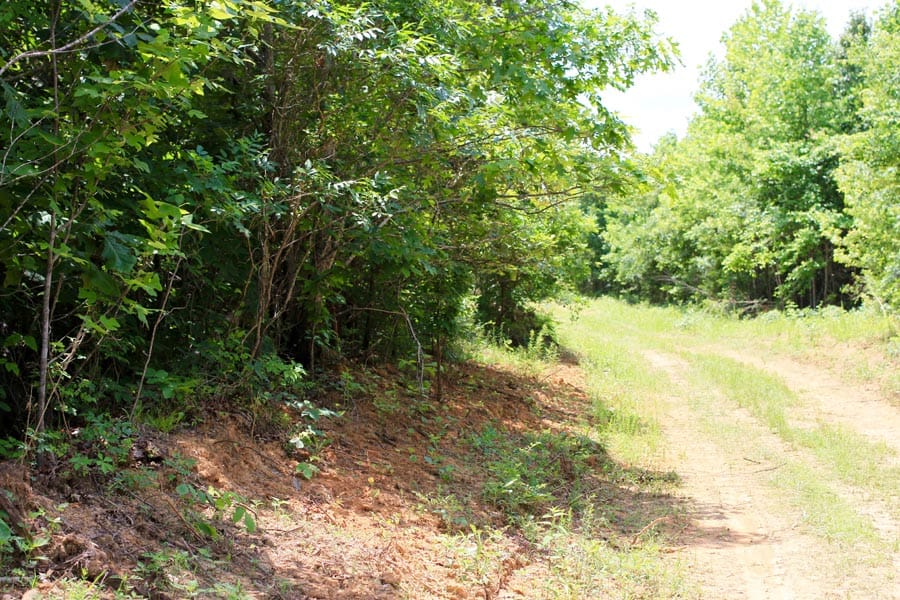 Bluebird Ranch Tract 11 photo 18