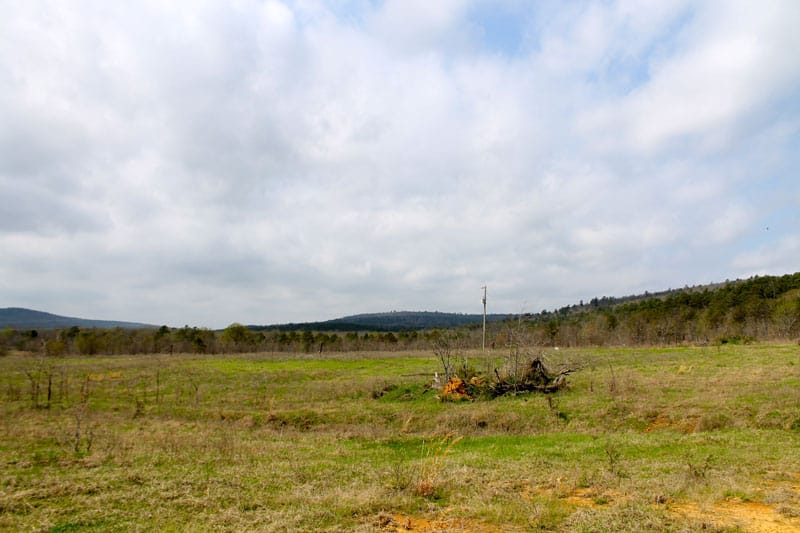 Daisy Meadows Tract 7 photo 5