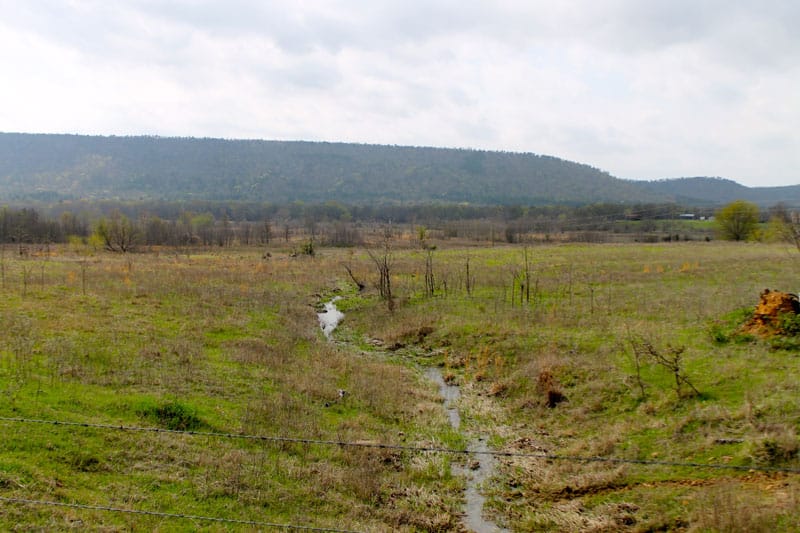 Daisy Meadows Tract 7 photo 2