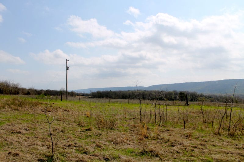 Daisy Meadows Tract 7 photo 6