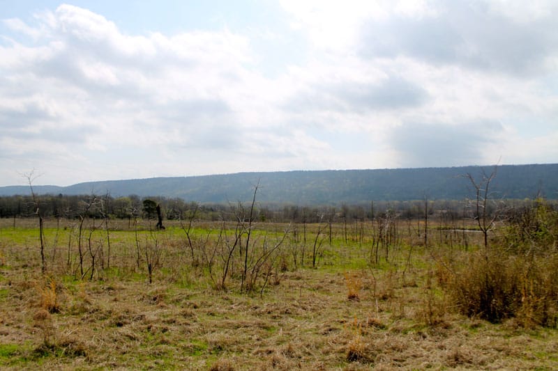 Daisy Meadows Tract 7 photo 7
