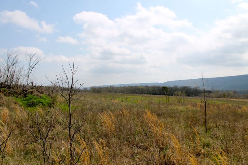 Daisy Meadows Tract 7 photo 8